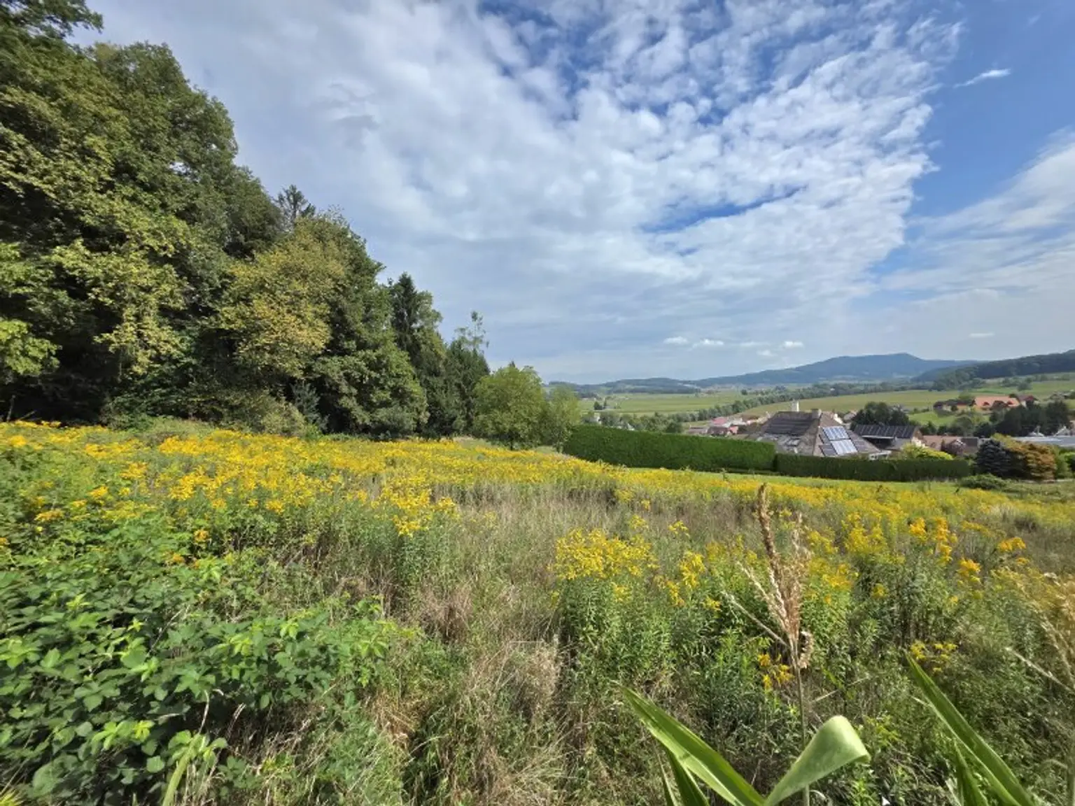 Sonniges Bauland mit Pläne und Baubewilligung!