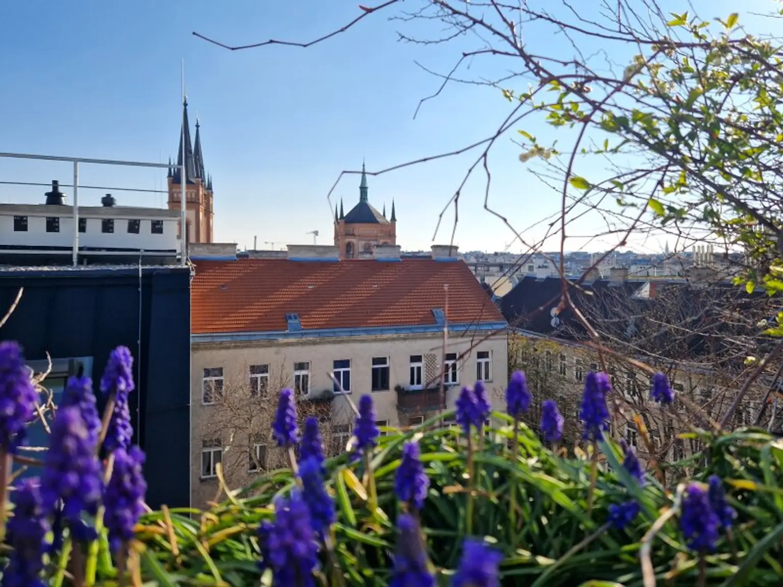 Willkommen auf der Sonnenseite! Ihre neue Wohlfühloase mit sonniger Dachterrasse und wunderbarer Aussicht im Herzen der Josefstadt