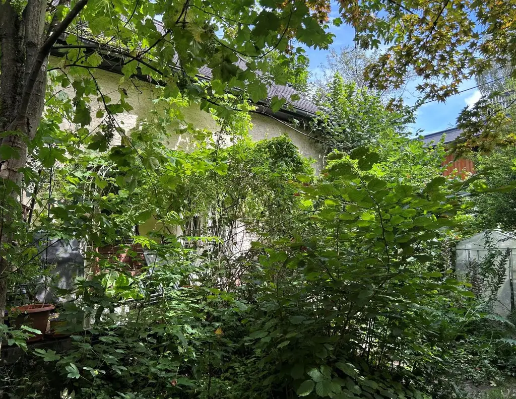 Salzburg Liefering: charmanter Altbau, 577 qm Baugrund in guter Lage, ruhig, sonnig, GFZ 0,6