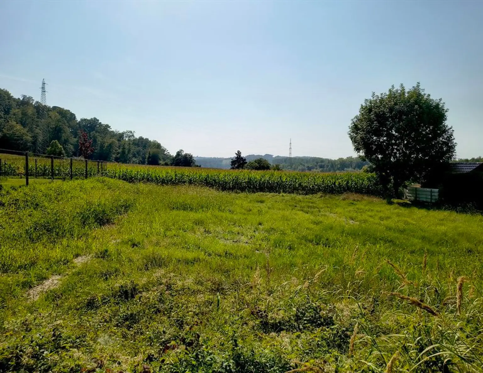 3313 Wallsee/Nähe Donau: Sonniges Baugrundstück in sehr guter, ruhiger Lage