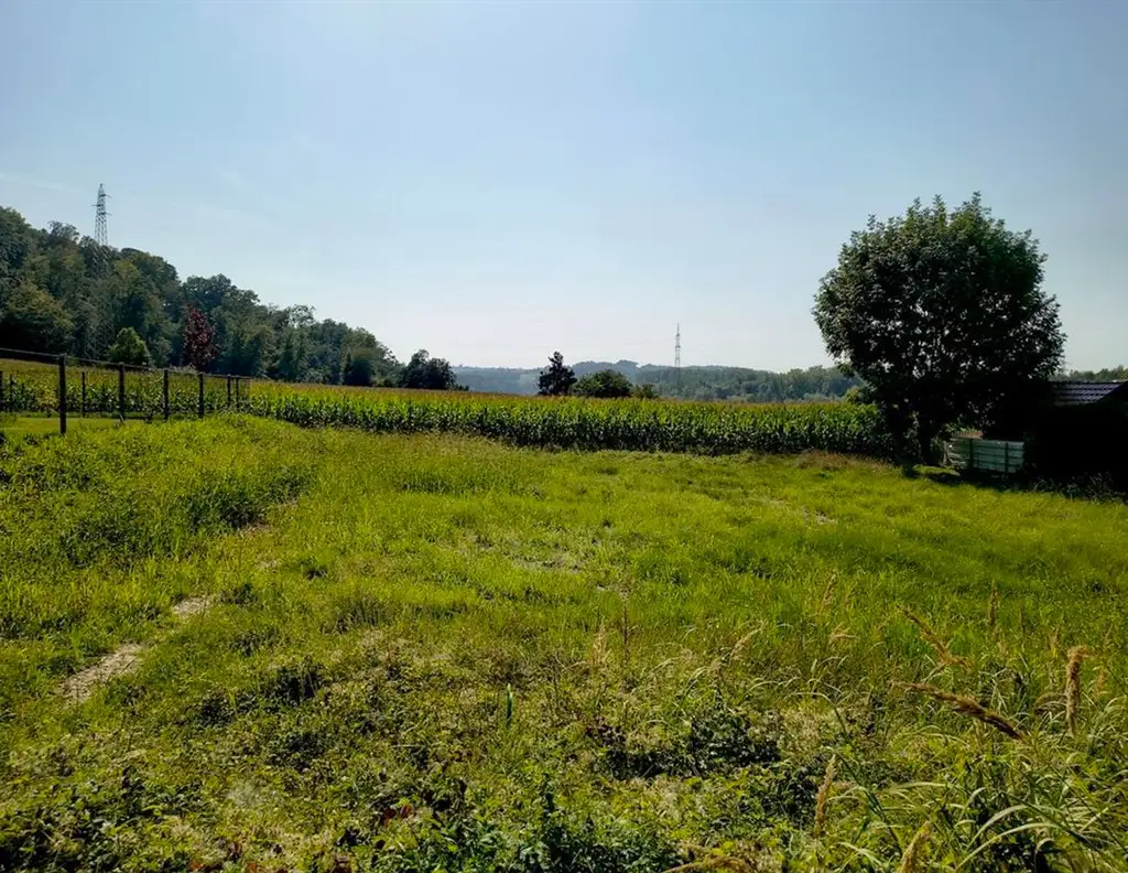 3313 Wallsee/Nähe Donau: Sonniges Baugrundstück in sehr guter, ruhiger Lage