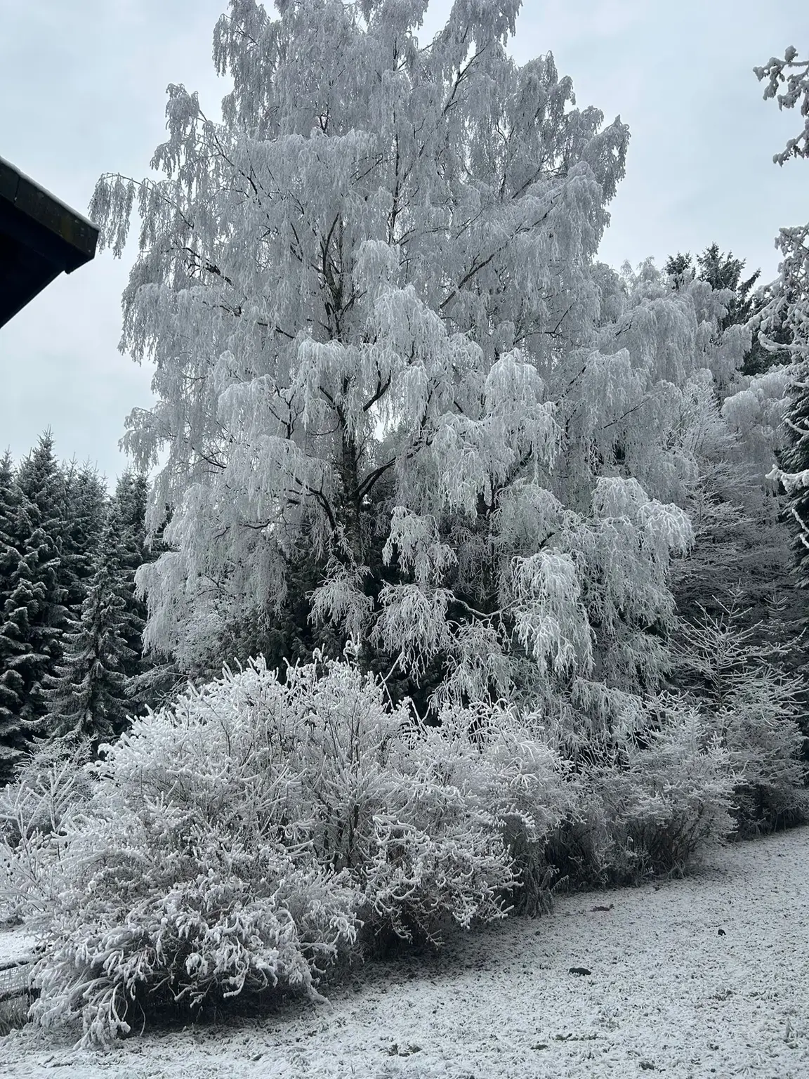 300 Meter von der MITTELSTATION STUHLECK entfernt