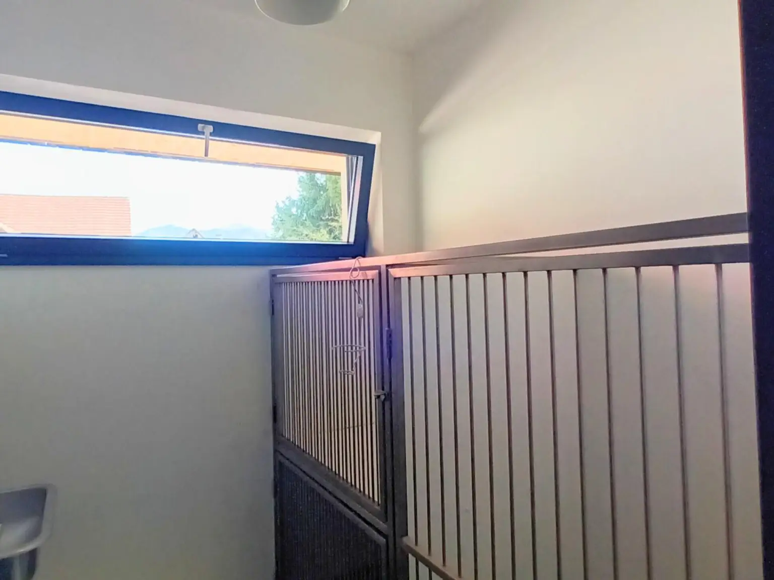 89,5 m² Tierarztpraxis, Ordination in Mürzhofen – sofort verfügbar