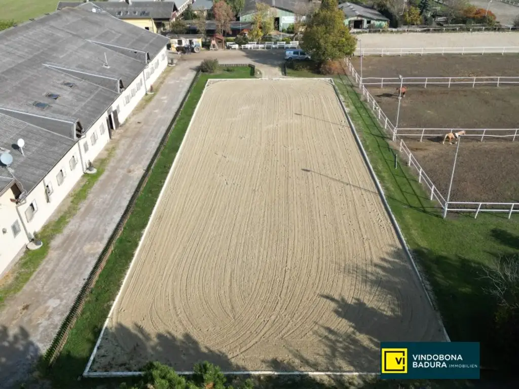 Exklusive Reitsportanlage vor den Toren Wiens – 145 Boxen | Reithallen | Reitplätze | Koppeln | Villa & Personalwohnungen