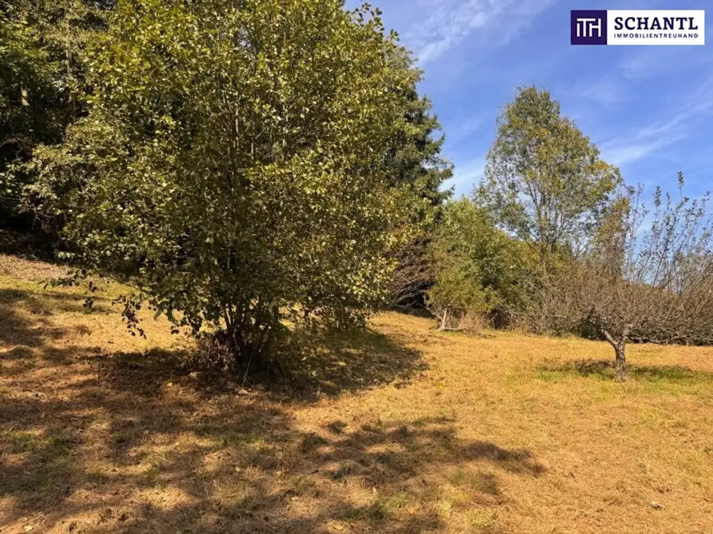 PREISREDUKTION! Attraktiver Baugrund inkl. Bewilligung für Wohnbauprojekt mit 4 Doppelhaushälften! Jetzt Anfragen!