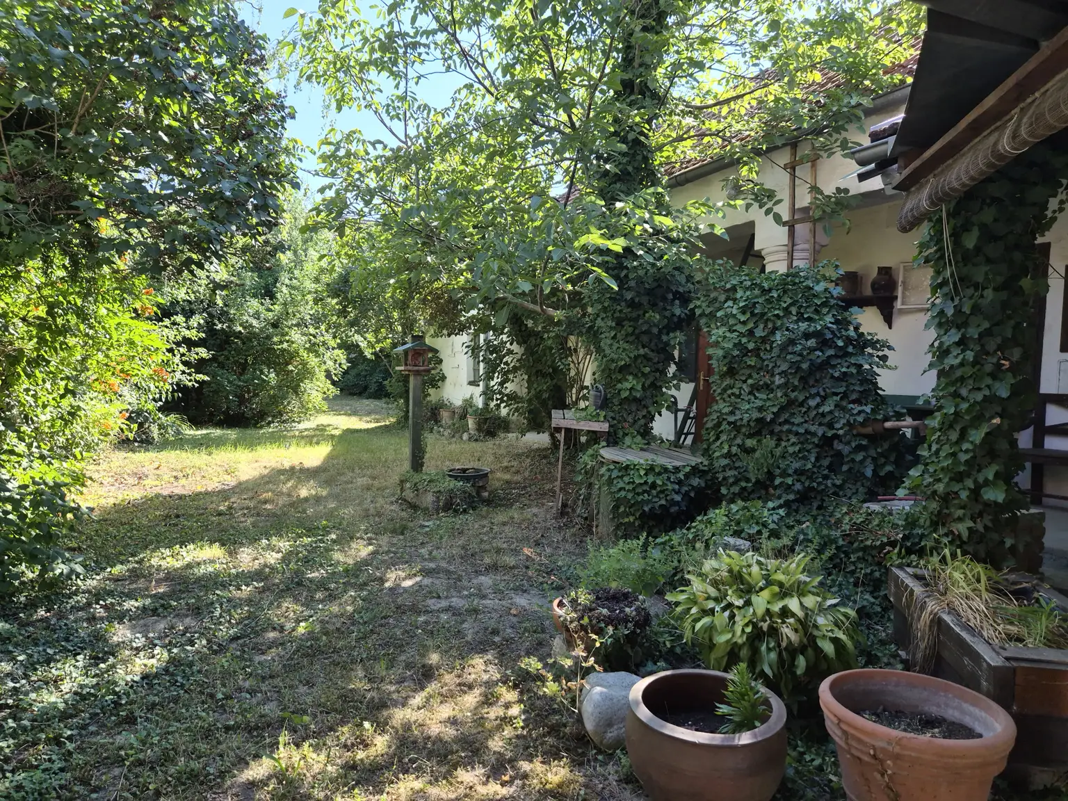 Gartenimpressionen