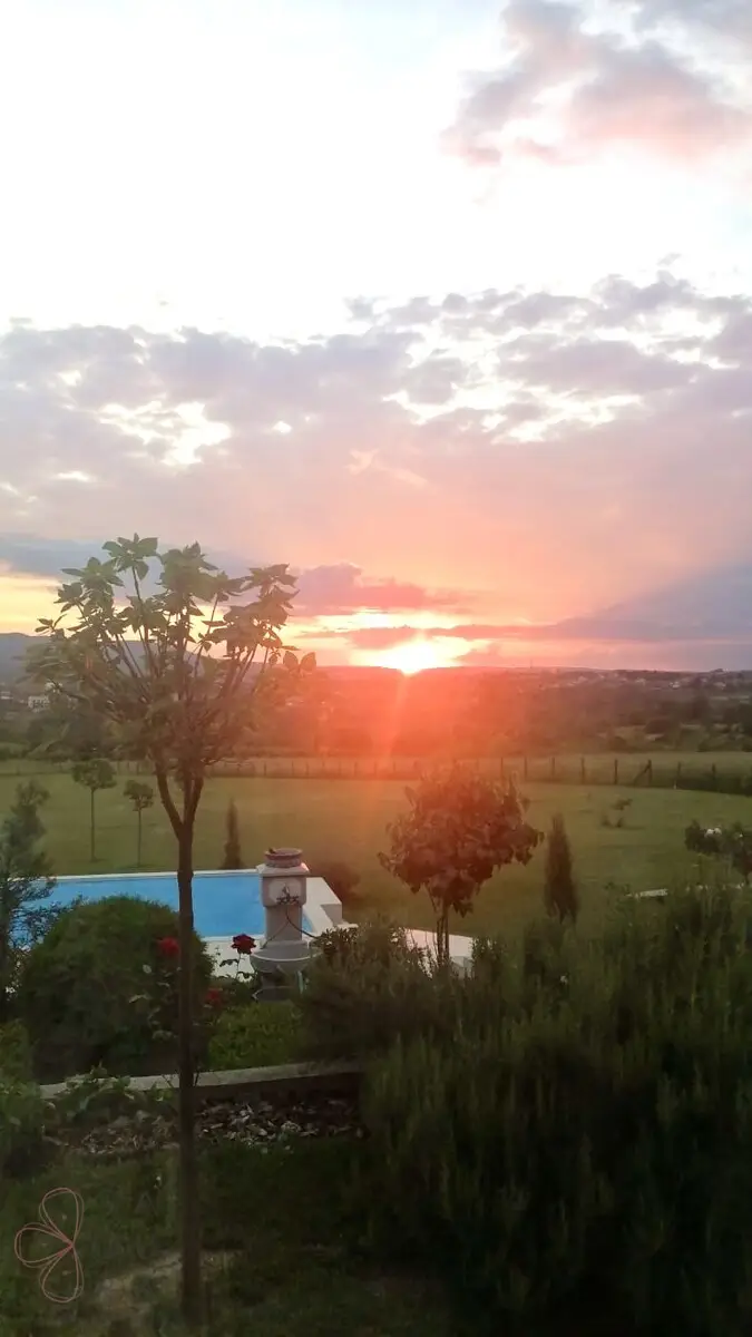 0c747ed9-a5e3-4fcd-8984-7bfb8c6f7c1f