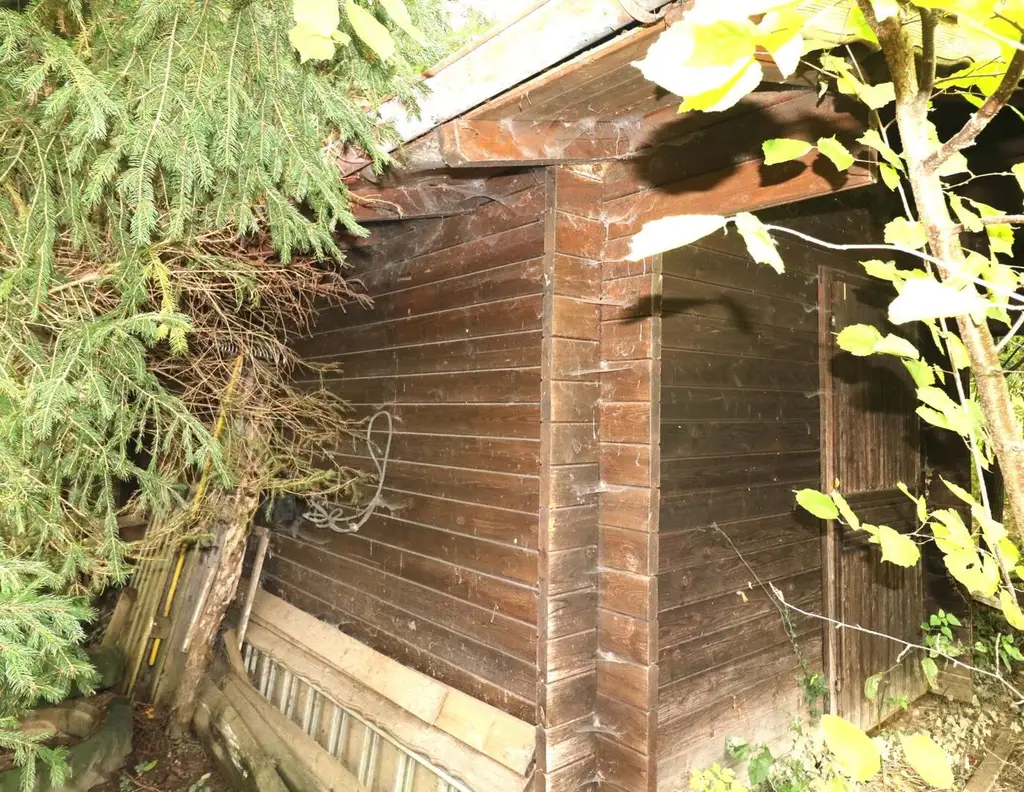 Baugrundstück in ruhiger Lage in Wolfern - kein Bauzwang, kein Bebauungsplan