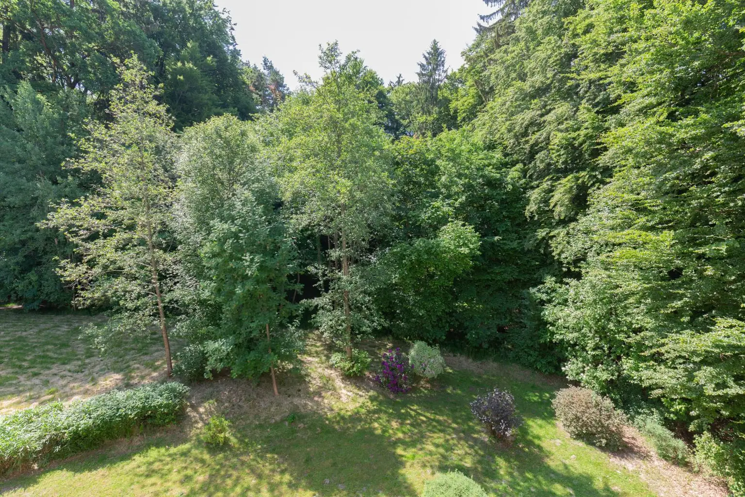 Aussicht