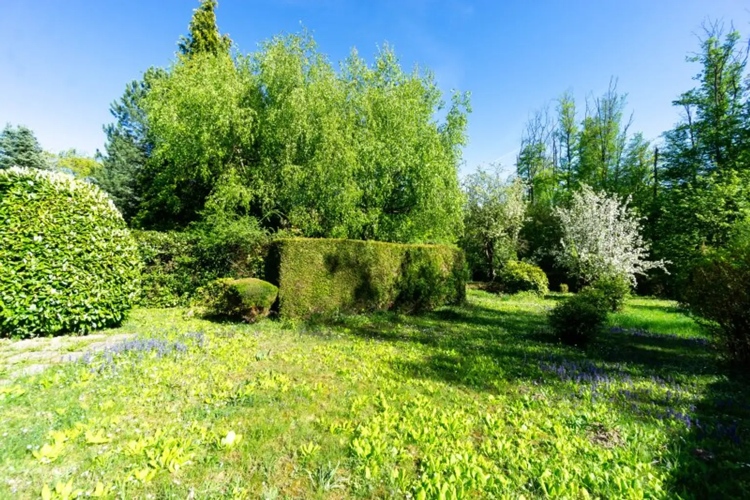 großer Garten