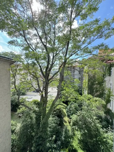 Moderne 3-Zimmer-Wohnung mit bewilligtem Balkon im Herzen des 9. Bezirks