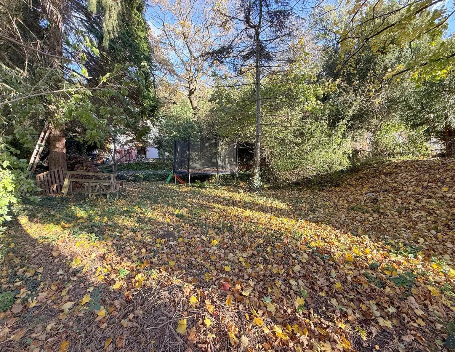 Attraktives Baugrundstück in Altenberg bei St. Andrä-Wördern