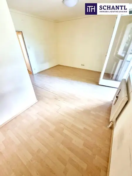 Absolute Grün- und Ruhelage! Gebraucht. Gepflegt. Geliebt! Perfekt aufgeteilte 3-Zimmer + separate Küche / 2 Balkone / Viele Möglichkeiten! Ruhig wohnen, gut leben!