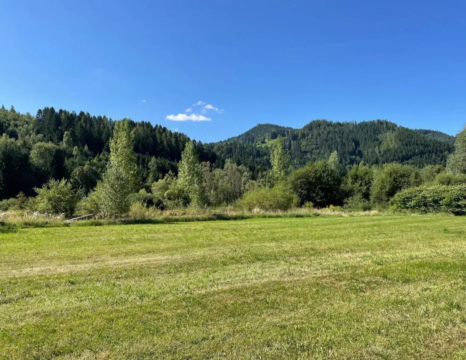 Traumhaftes Grundstück in Stanz im Mürztal - 7840 m² Bauland