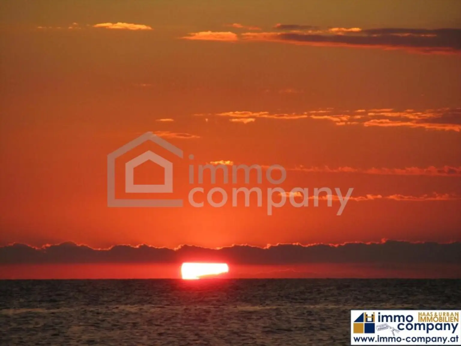 Mediterranean Sundance...