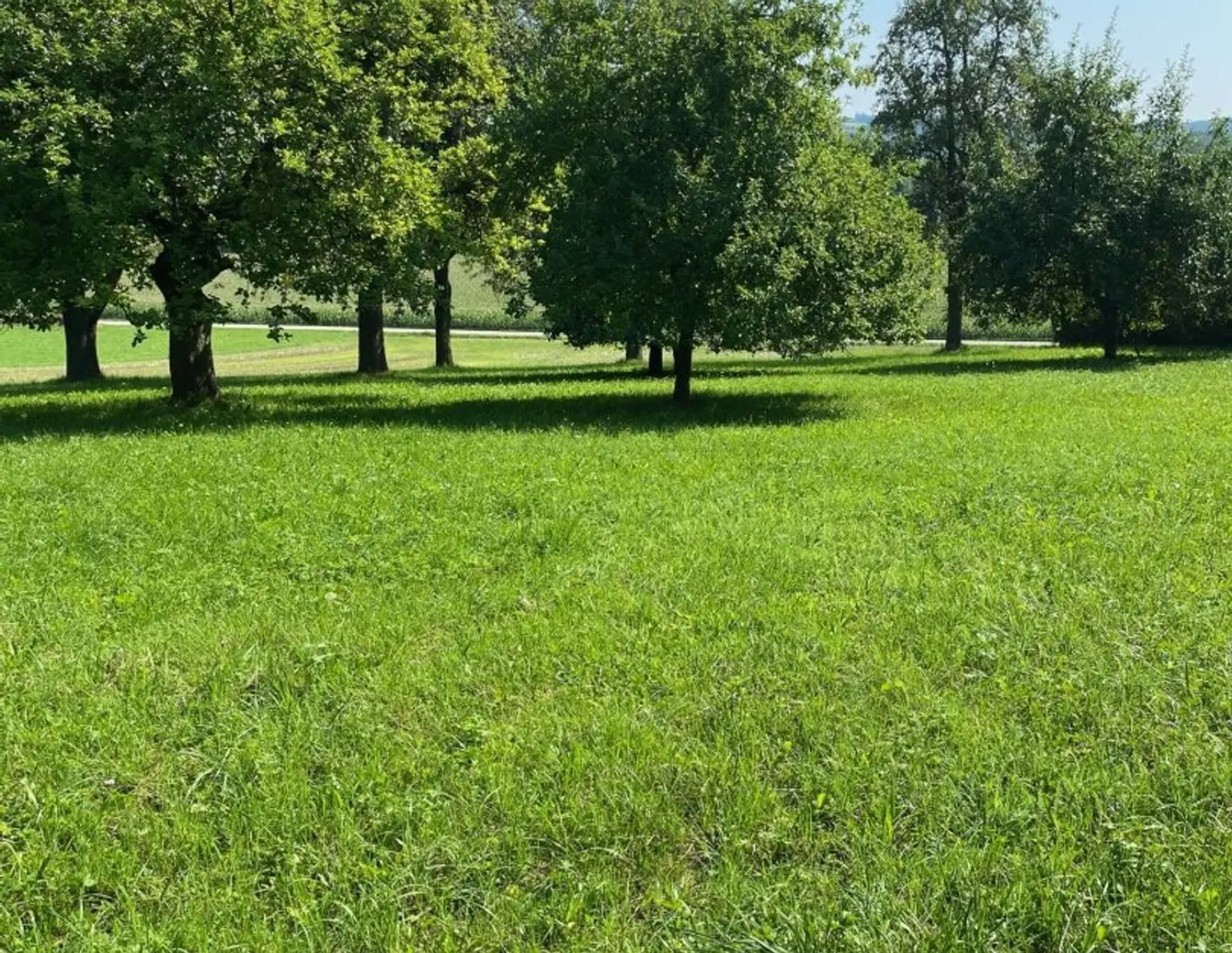 987 m² Bauland mit Widmung Dorfgebiet in Engerwitzdorf/Edtsdorf ohne Bauzwang