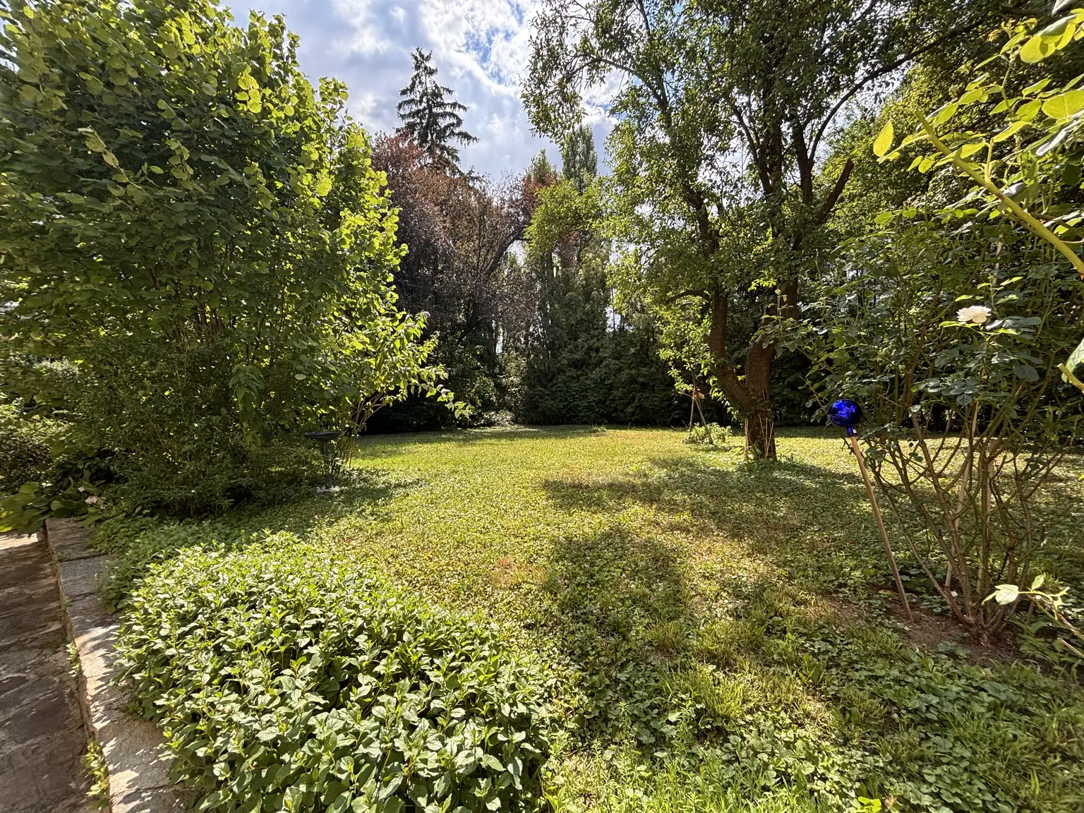 image00009.jpeg