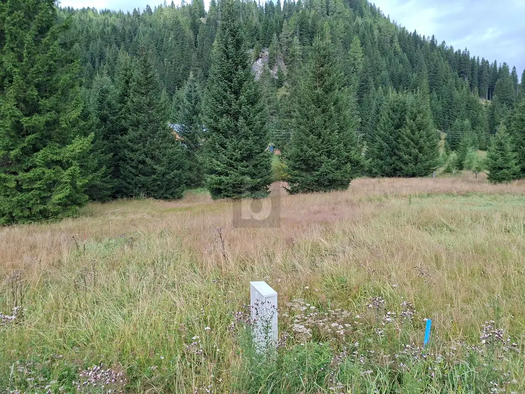 FERN VON DER HEKTIK  AUF DER FLATTNITZ
