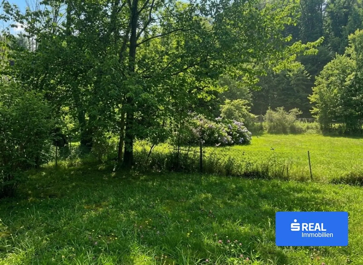 Grünflächen Allgemein
