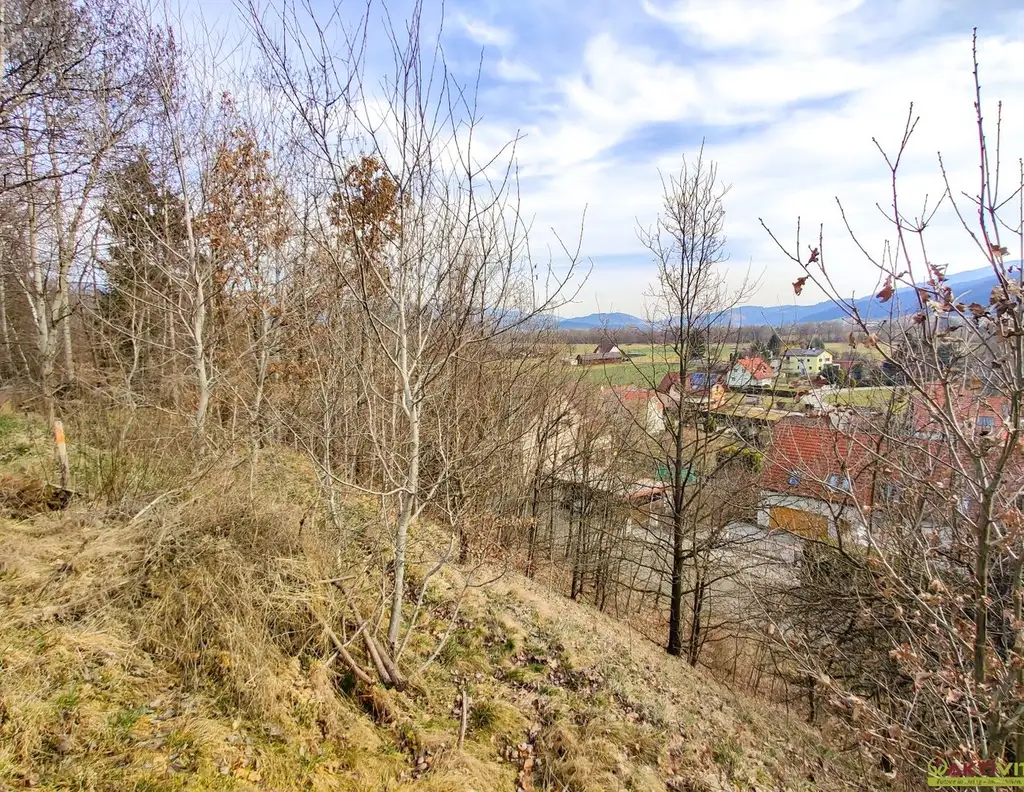 Großzügiges Baugrundstück mit Potenzial. - Verkauf auch in Teilflächen möglich und bis zu 1.450 m² Bruttogeschoßfläche realisierbar.