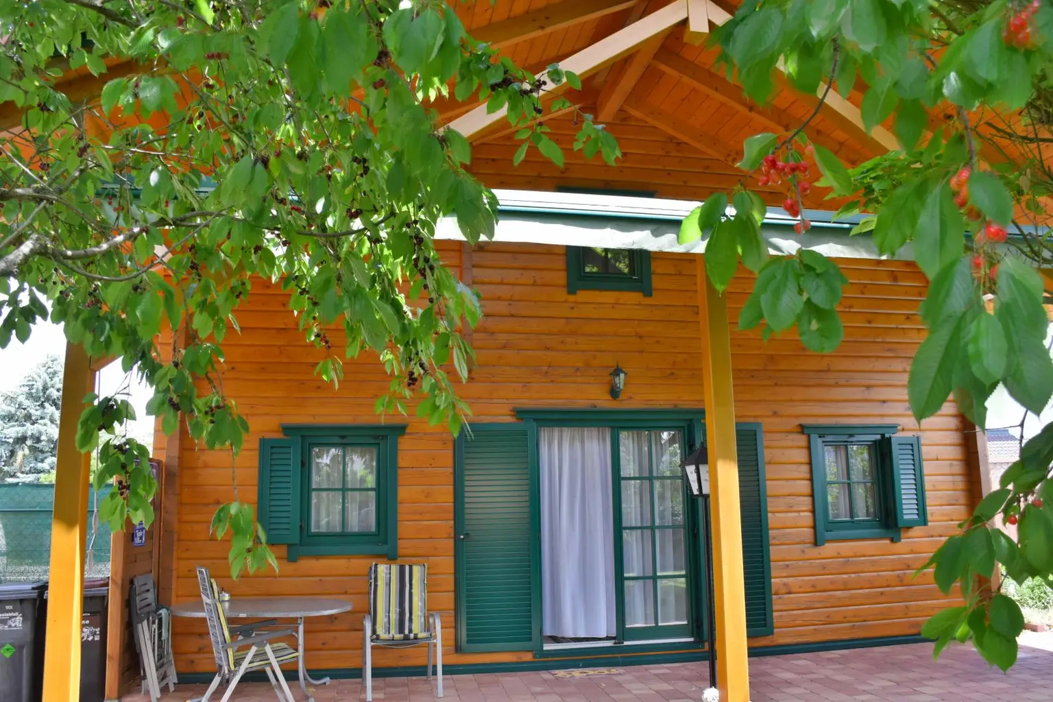 Ansicht west mit Terrasse 20m²