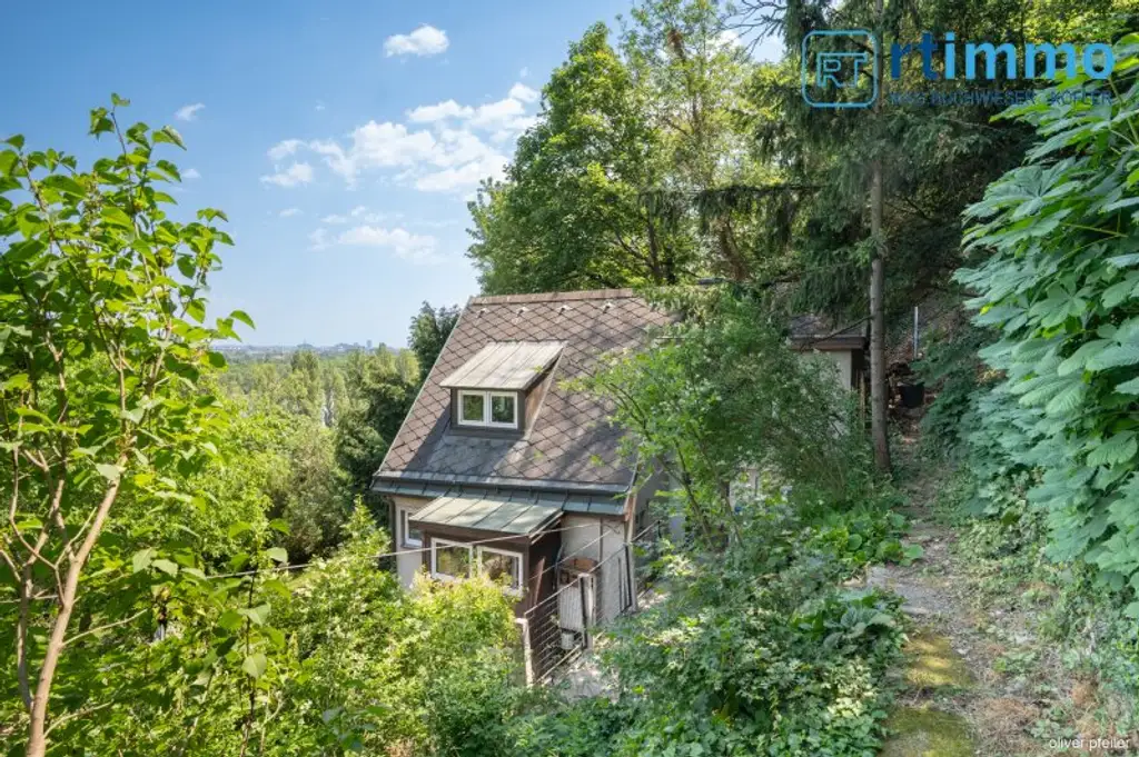 SELTENE GELEGENHEIT AM FUSSE DES KAHLENBERGS: Haus mit 835 qm Eigengrund zu kaufen + ca. 2500 qm anschließenden, sehr günstigen Pachtgrund zu übernehmen!