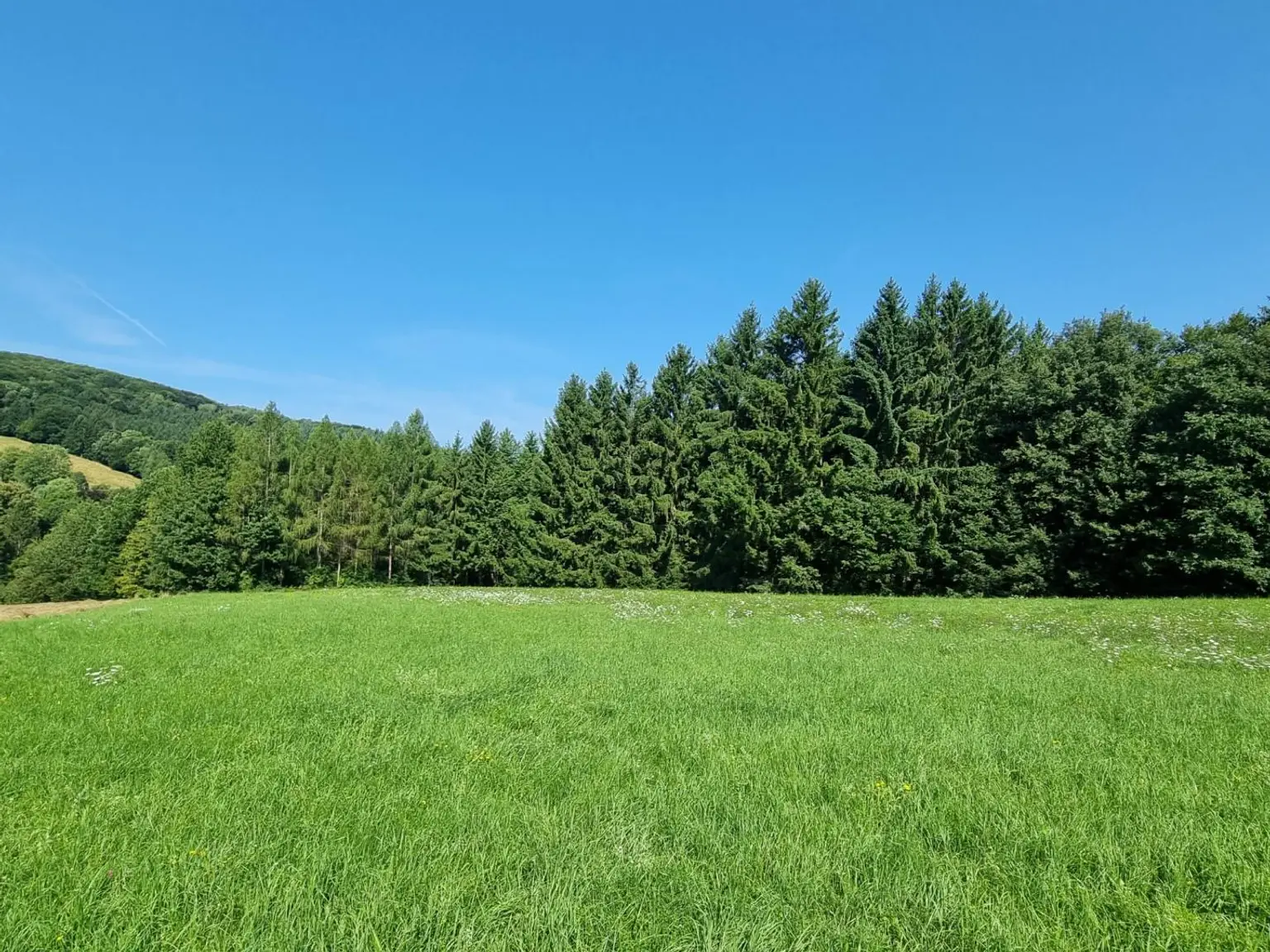 LANDWIRTSCHAFT VOR DEN TOREN WIENS