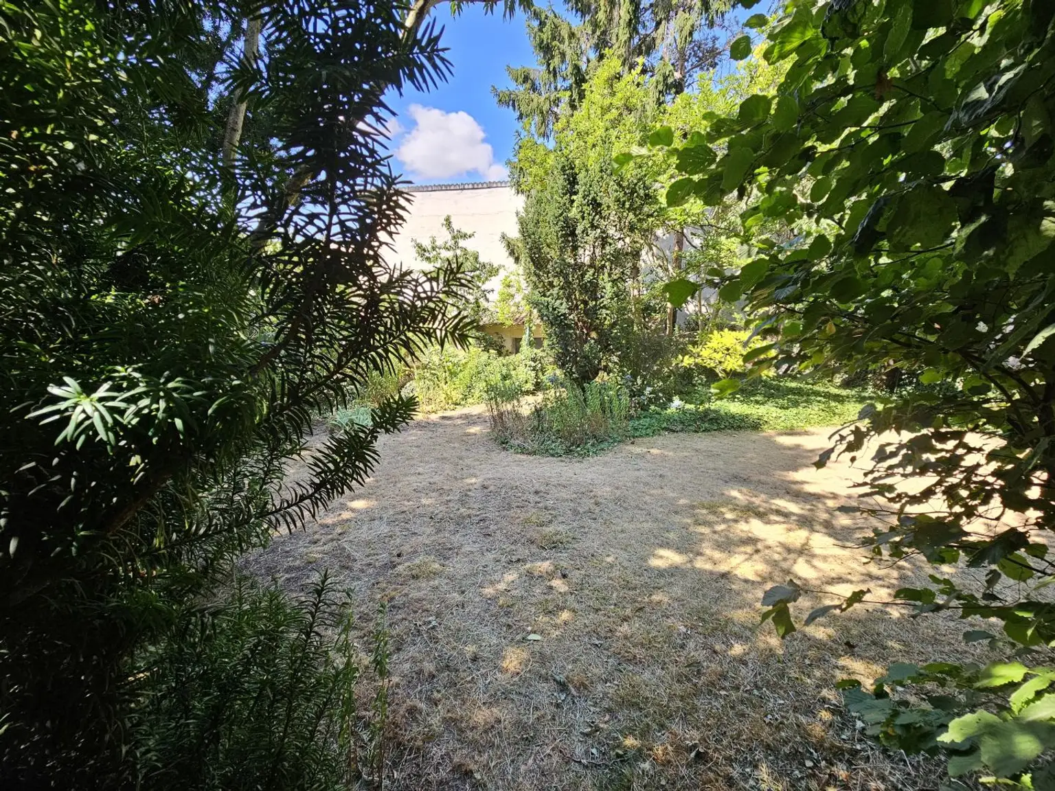 Garten (5)