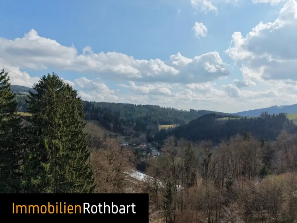 Wald mit Wiese und Zinshaus!