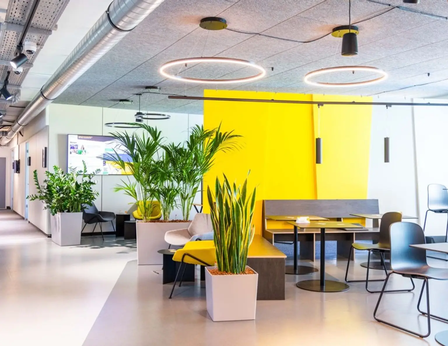 Büroflächen und Co-working - Lassallestraße 7B, 1020 Wien!