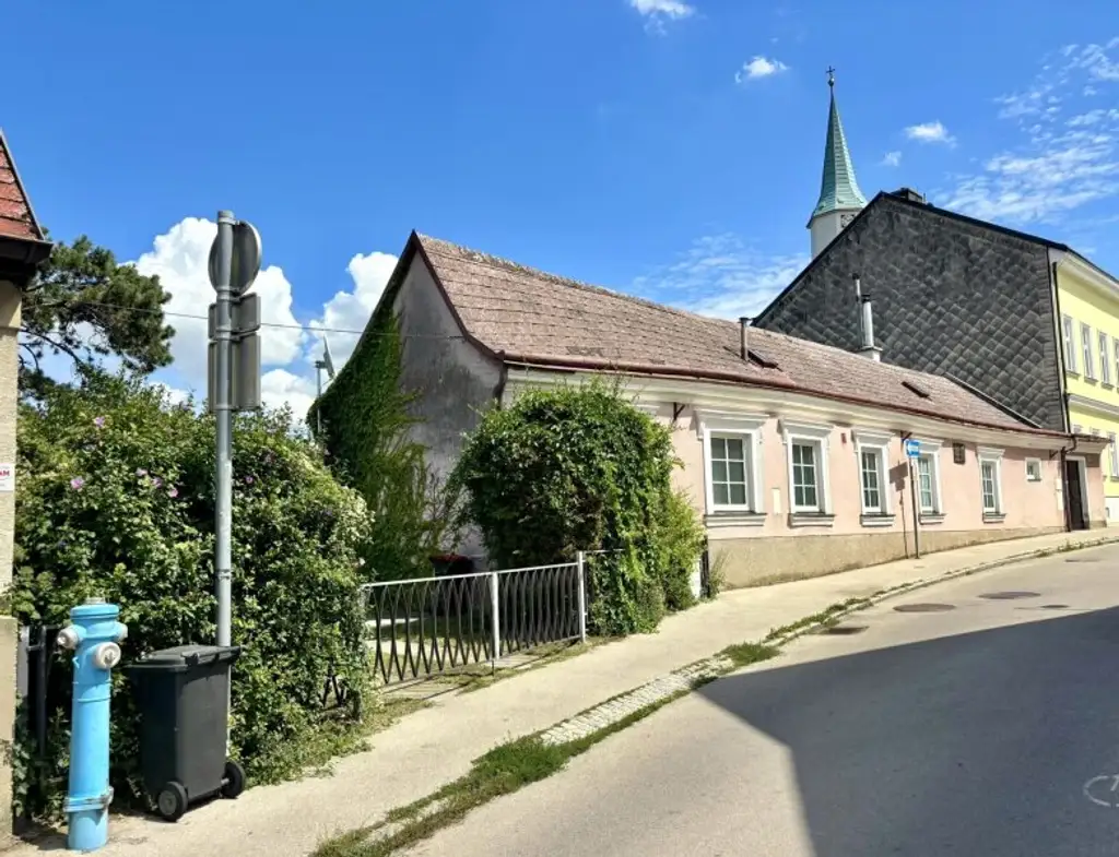 Privatverkauf - geschichtsträchtiges Haus im Martinsviertel in der Schutzzone mit Panorama-Fernblick - 6 Wohneinheiten laut Bebauungsplan möglich