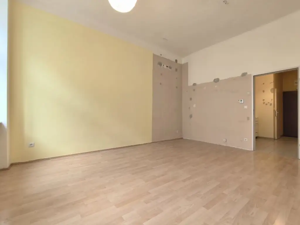 Sanierungsbedürftige Altbauwohnung mit Charme – Ihre Chance zur Selbstverwirklichung - Nahe U4 Friedensbrücke & Augarten