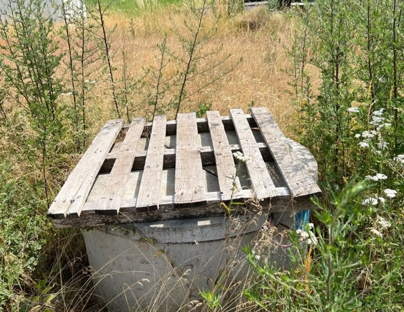 Sonniges Baugrundstück in Unterort