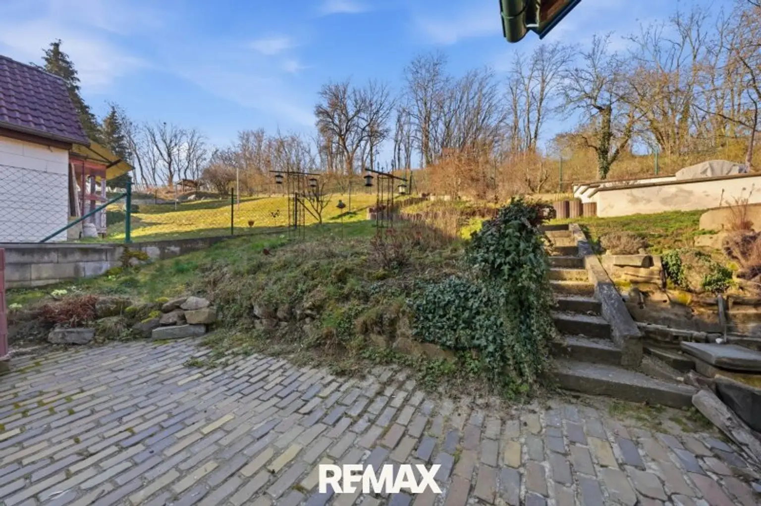 IMG_3518
