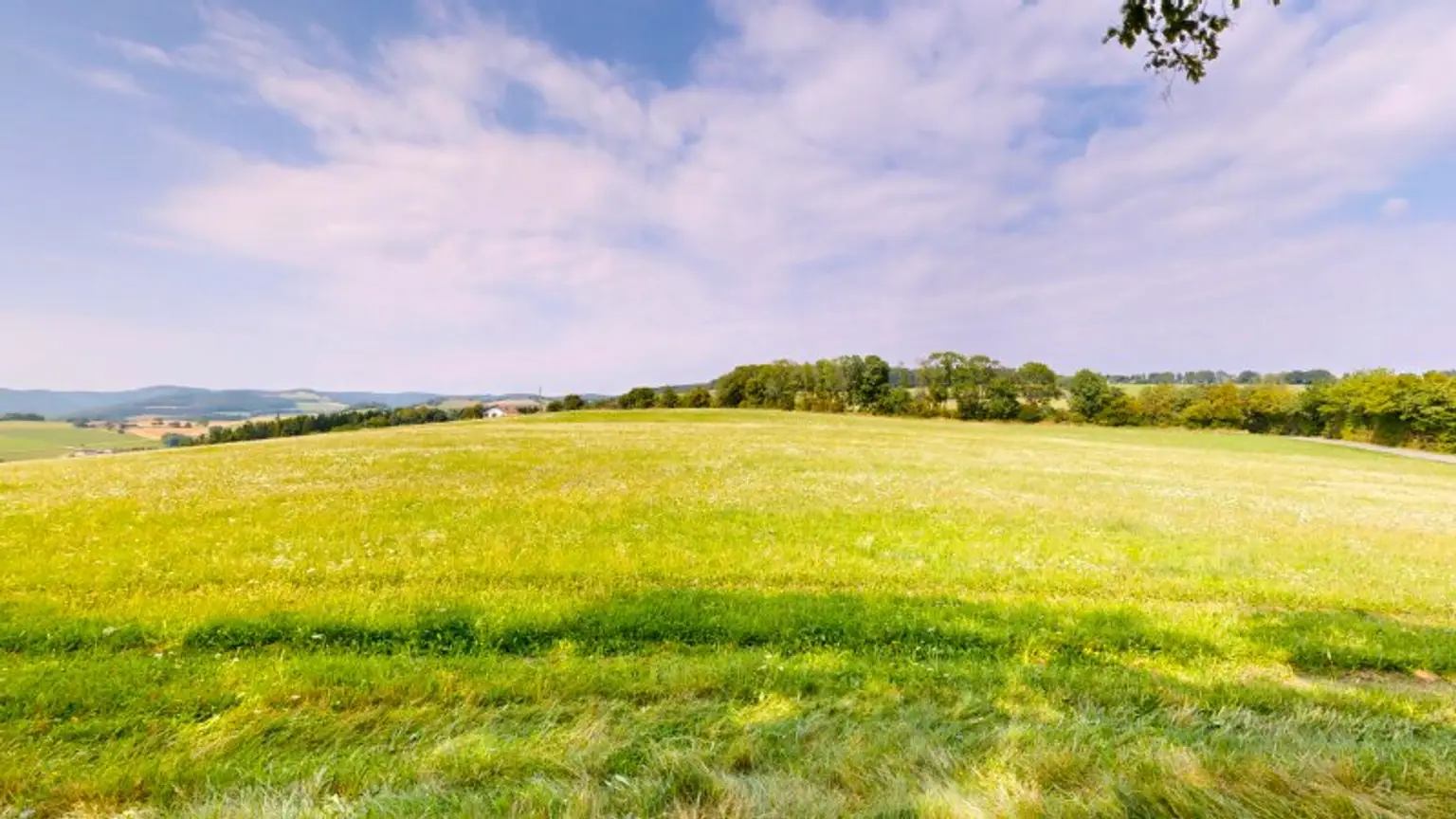 Grundstück mit Baumbestand für landwirtschaftliche Zwecke | 60.053 m² | Schwarzenbach in der Buckligen Welt