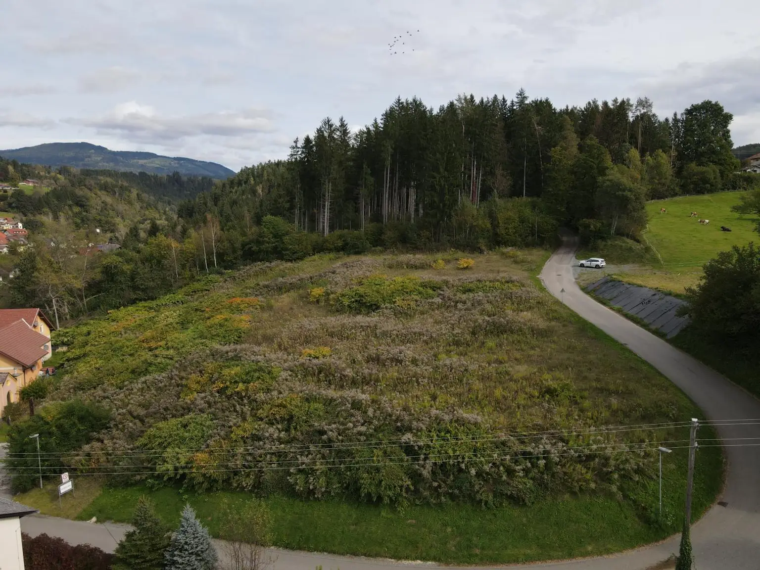 DJI_0041