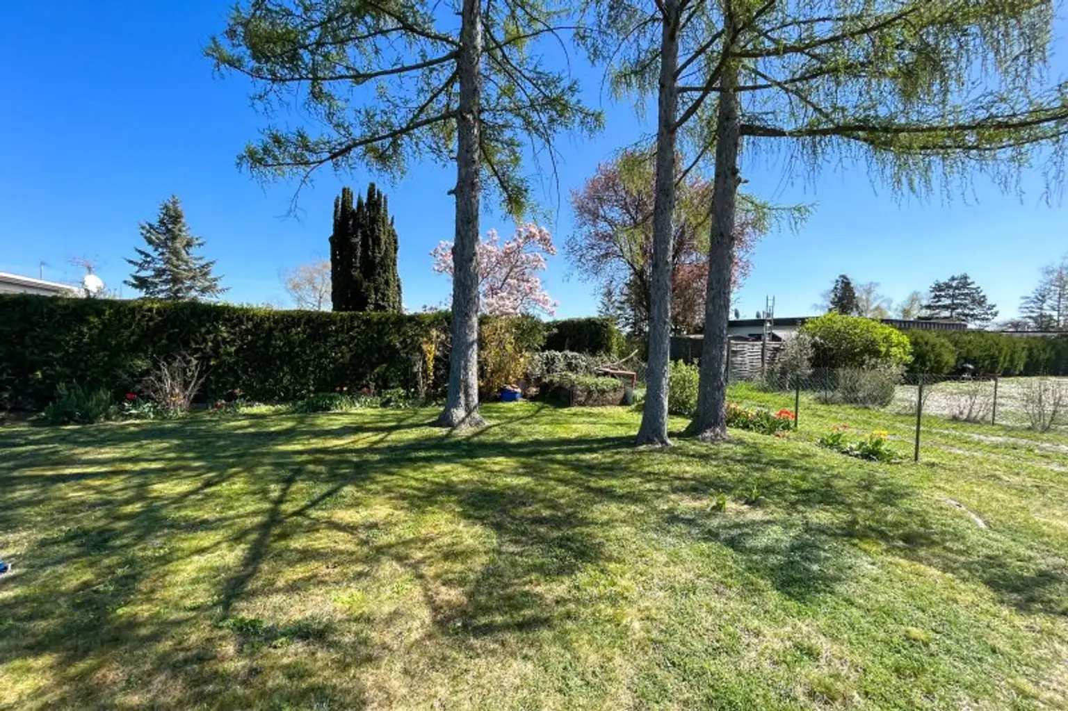 Garten mit schattenspendenden Bäumen