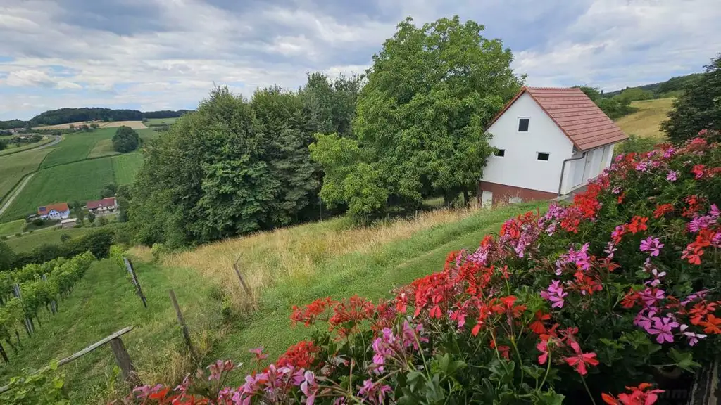 ** Geschmackvolles Zweifamilienwohnhaus - ca. 19ha LW-Fläche mit Wald ** unvergleichbarer Panoramablick auf Schloss Kapfenstein und das steirische Hügelland **