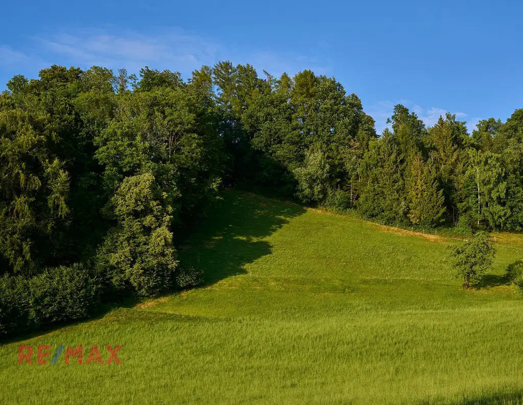 Ruhe, Weitblick und Lebensqualität in Harmonie
