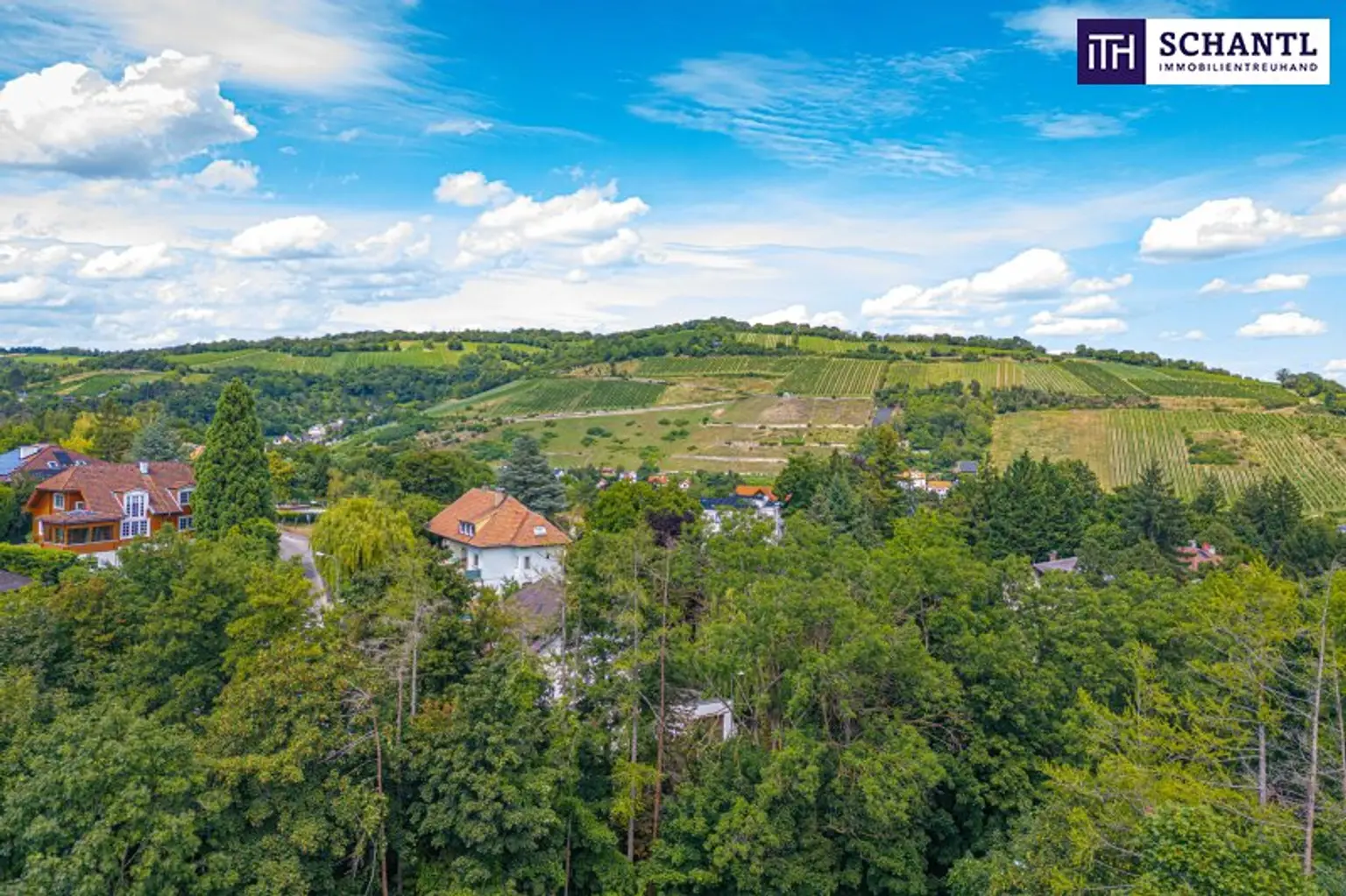 Smart Move: Investieren mit Weitblick