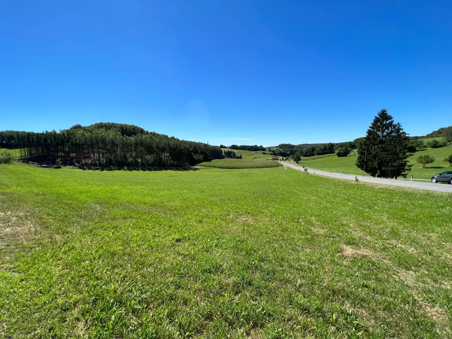 Waldrand