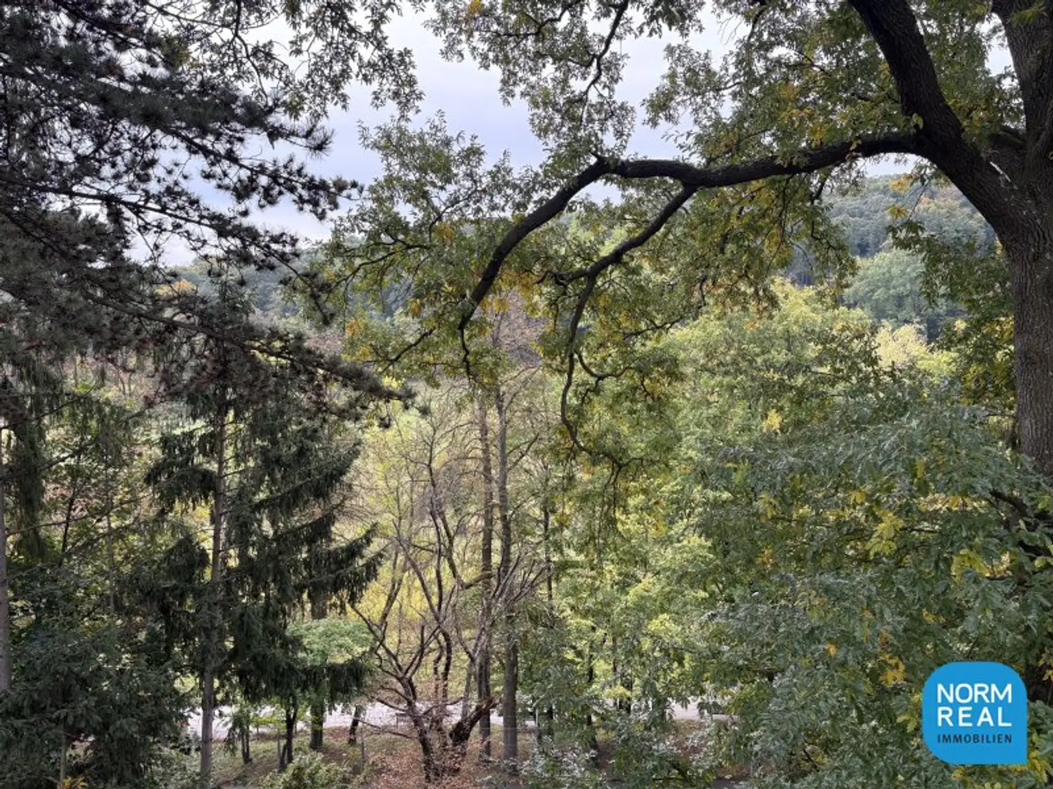Dachgeschoss am Pötzleinsdorfer Park