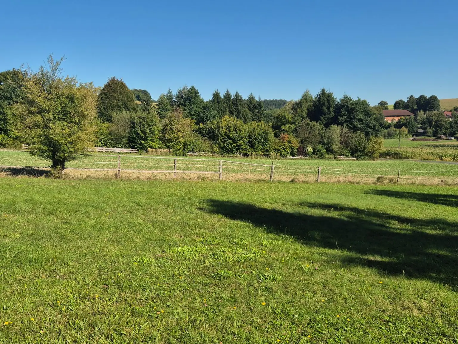 Wunderschöner Dreikanthof in Ruhelage mit Reithalle