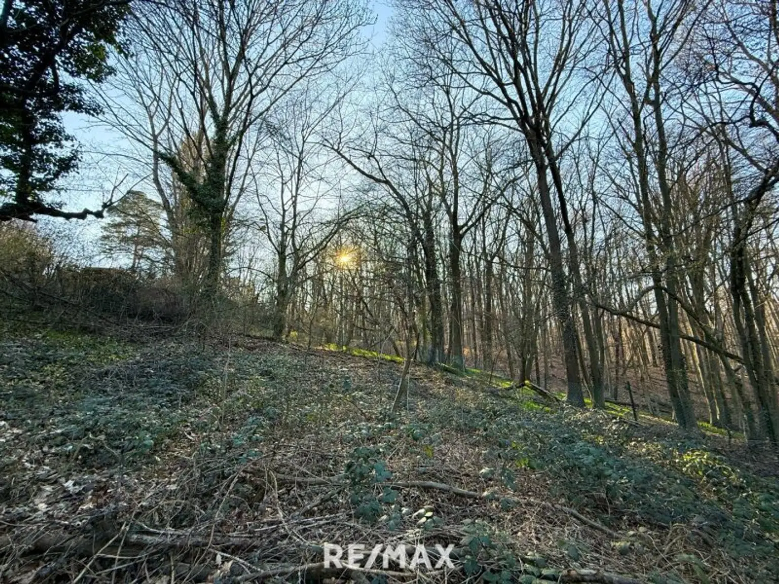 1170 / Idyllisches GRUNDSTÜCK (KLG) Eselstiege