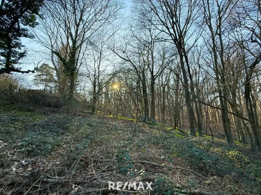 1170 / Idyllisches GRUNDSTÜCK (KLG) Eselstiege