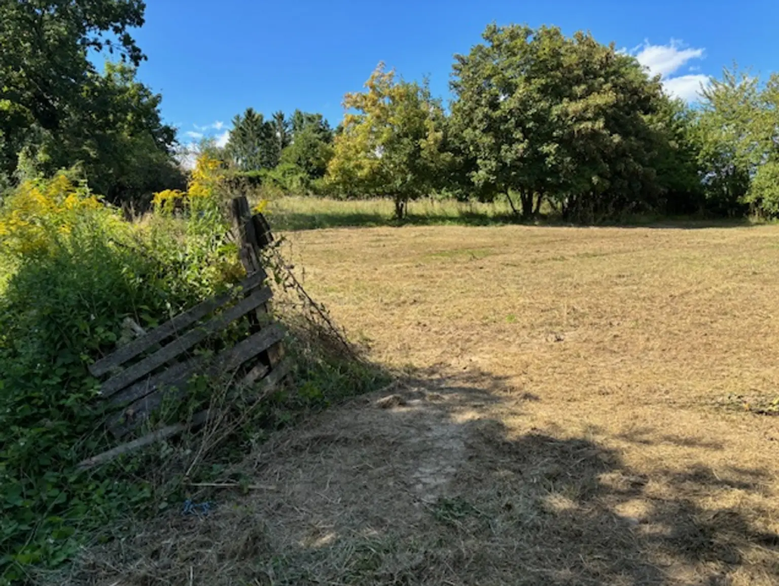 KAUFANBOT LIEGT VOR!      Wohnen im Grünen – Leben in Stadtnähe. Traumhaftes Grundstück im Wischathal!