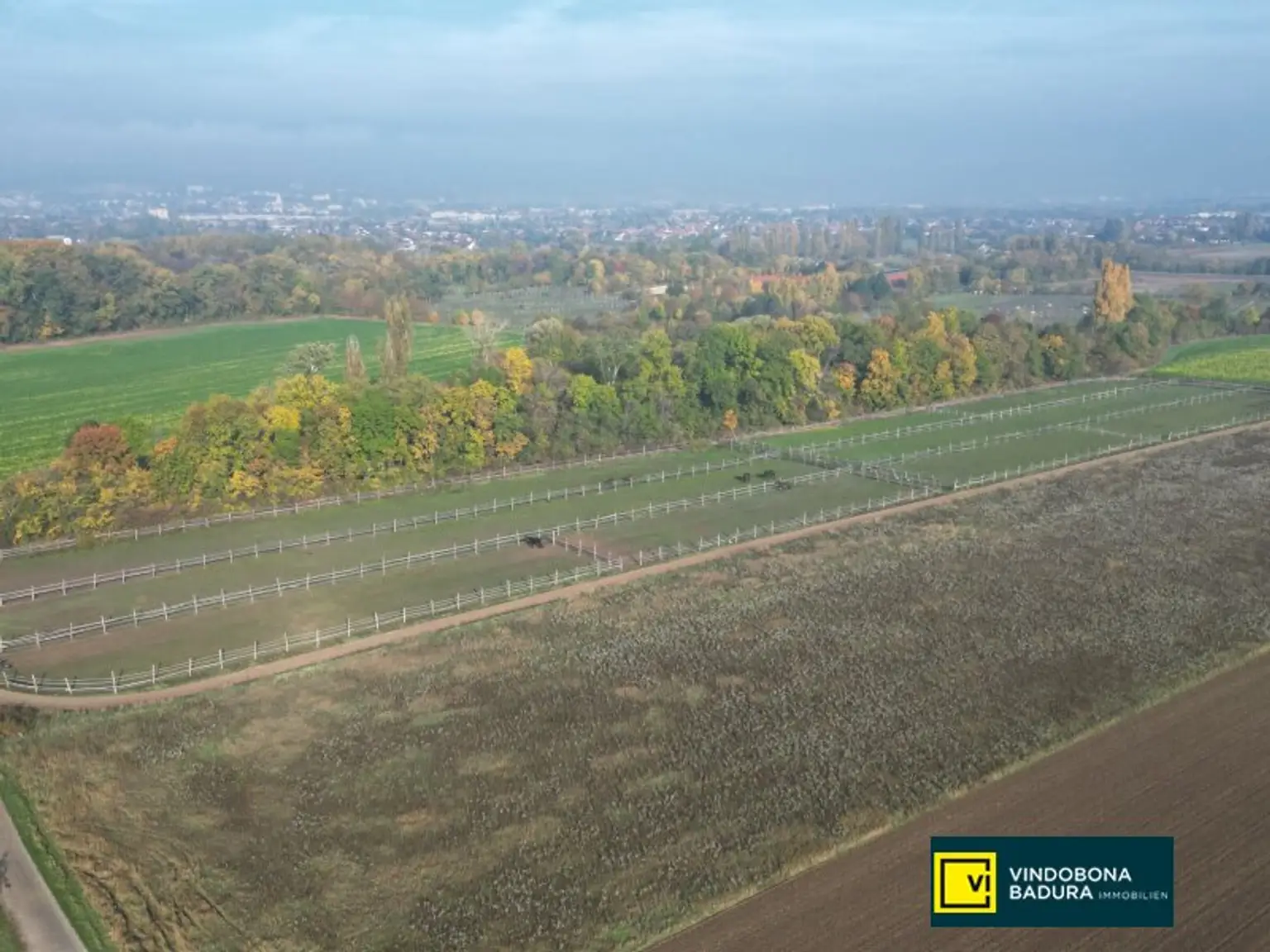 Exklusive Reitsportanlage vor den Toren Wiens – 145 Boxen | Reithallen | Reitplätze | Koppeln | Villa & Personalwohnungen