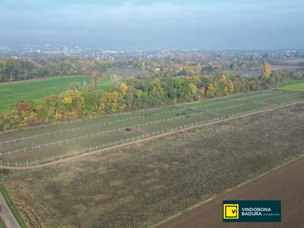 Exklusive Reitsportanlage vor den Toren Wiens – 145 Boxen | Reithallen | Reitplätze | Koppeln | Villa & Personalwohnungen