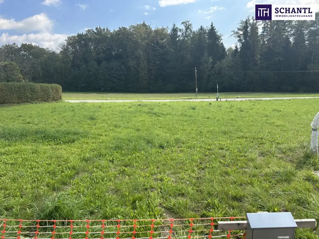 TOP WOHNPROJEKT möglich! IDEAL für BAUTRÄGER! In unmittelbarer Nähe zu den Wundschuher Seen! TOP Anbindung! VOLLERSCHLOSSENES und FLACHES BAUGRUNDSTÜCK!