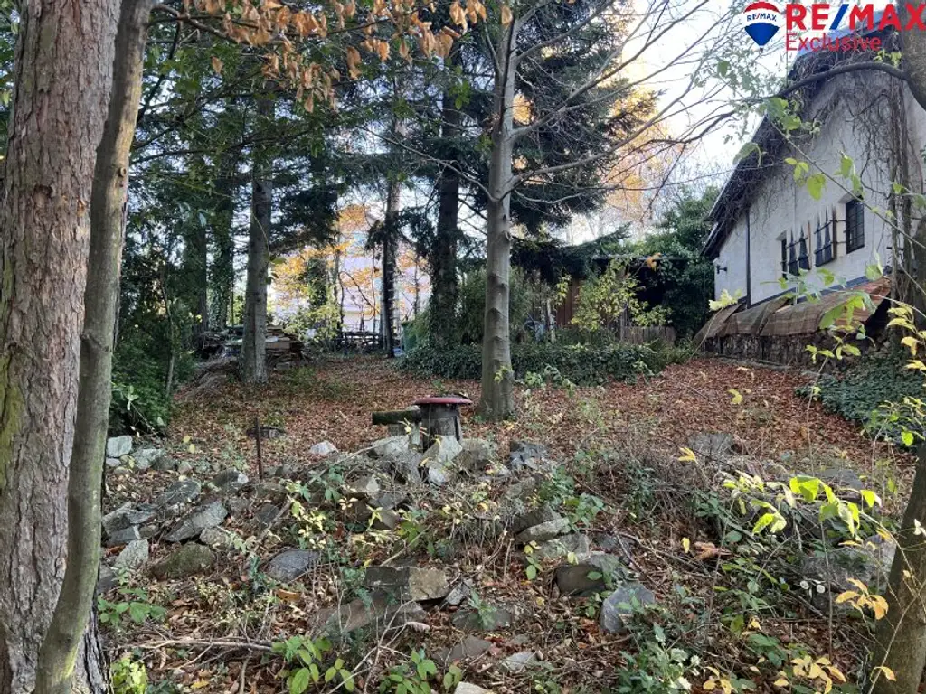 Klein und fein in der Buckligen Welt! Kleines Haus auf fast 2000m2!